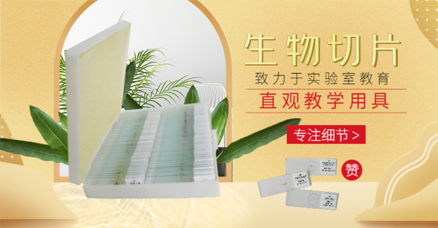 稿定設(shè)計導(dǎo)出-20200424-160732